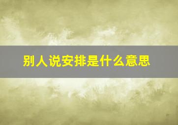 别人说安排是什么意思