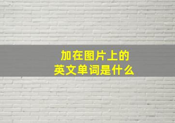 加在图片上的英文单词是什么