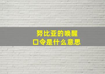 努比亚的唤醒口令是什么意思