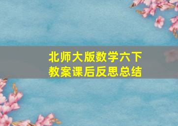 北师大版数学六下教案课后反思总结