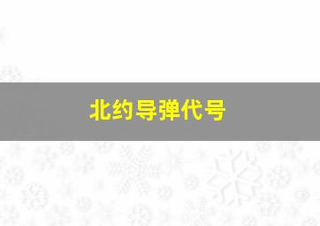 北约导弹代号