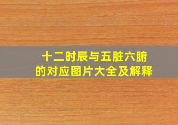 十二时辰与五脏六腑的对应图片大全及解释