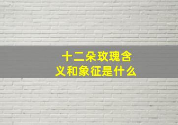 十二朵玫瑰含义和象征是什么