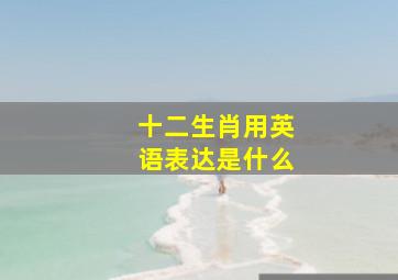 十二生肖用英语表达是什么