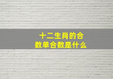 十二生肖的合数单合数是什么