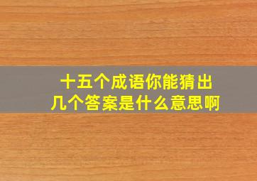 十五个成语你能猜出几个答案是什么意思啊