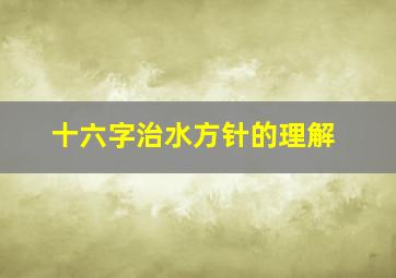 十六字治水方针的理解