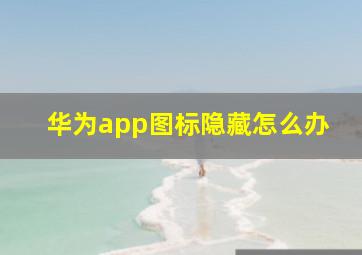 华为app图标隐藏怎么办