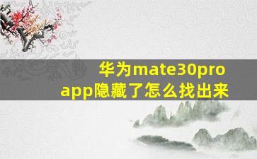 华为mate30proapp隐藏了怎么找出来