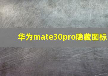 华为mate30pro隐藏图标