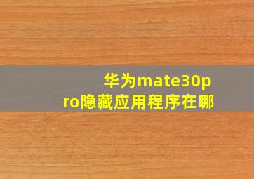 华为mate30pro隐藏应用程序在哪