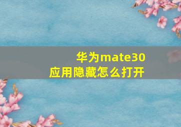 华为mate30应用隐藏怎么打开