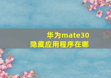 华为mate30隐藏应用程序在哪