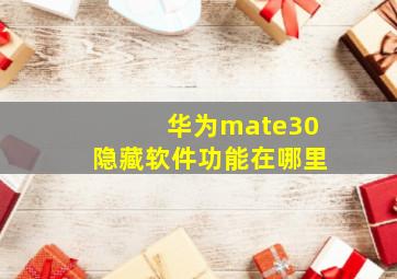 华为mate30隐藏软件功能在哪里