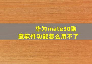 华为mate30隐藏软件功能怎么用不了