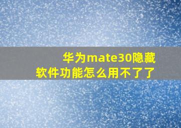 华为mate30隐藏软件功能怎么用不了了