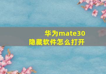 华为mate30隐藏软件怎么打开