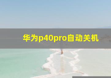 华为p40pro自动关机