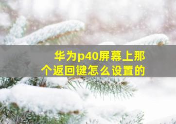 华为p40屏幕上那个返回键怎么设置的