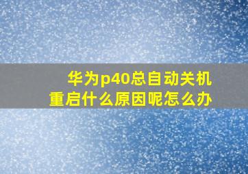 华为p40总自动关机重启什么原因呢怎么办