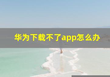 华为下载不了app怎么办