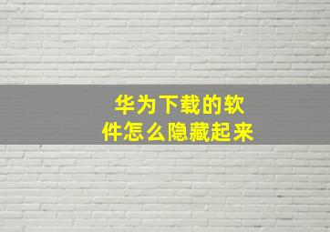 华为下载的软件怎么隐藏起来