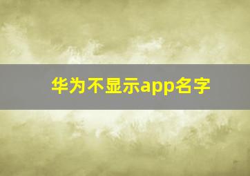 华为不显示app名字