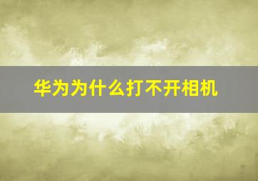 华为为什么打不开相机