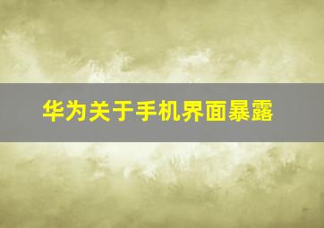 华为关于手机界面暴露