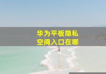 华为平板隐私空间入口在哪