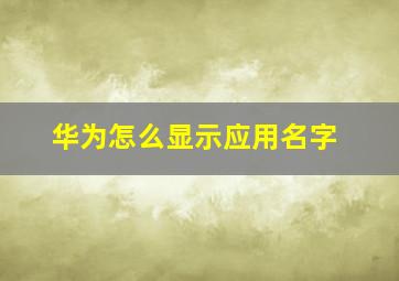 华为怎么显示应用名字