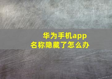 华为手机app名称隐藏了怎么办