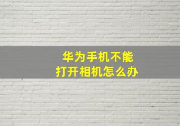 华为手机不能打开相机怎么办