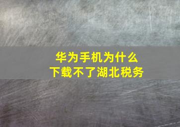 华为手机为什么下载不了湖北税务