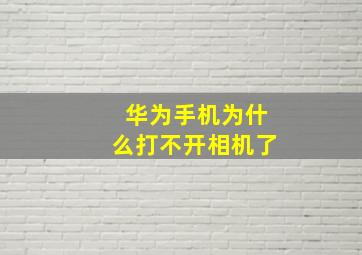 华为手机为什么打不开相机了