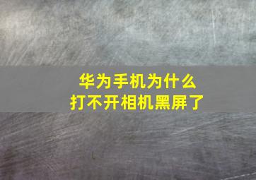 华为手机为什么打不开相机黑屏了