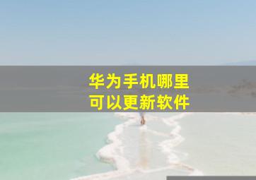 华为手机哪里可以更新软件