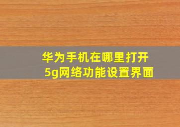 华为手机在哪里打开5g网络功能设置界面