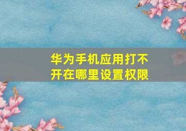 华为手机应用打不开在哪里设置权限