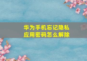 华为手机忘记隐私应用密码怎么解除