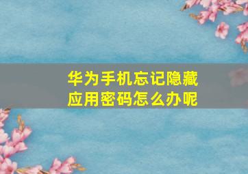 华为手机忘记隐藏应用密码怎么办呢