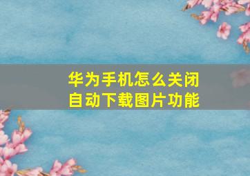 华为手机怎么关闭自动下载图片功能