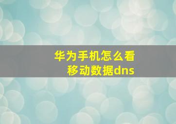 华为手机怎么看移动数据dns