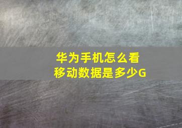 华为手机怎么看移动数据是多少G