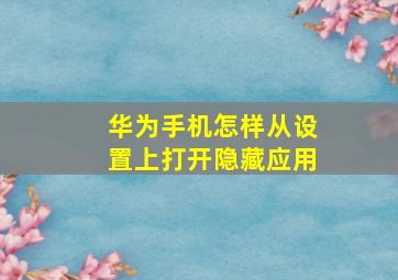 华为手机怎样从设置上打开隐藏应用