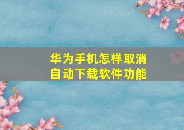 华为手机怎样取消自动下载软件功能