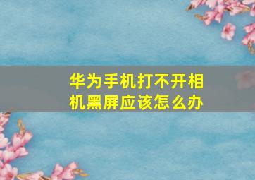 华为手机打不开相机黑屏应该怎么办