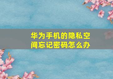 华为手机的隐私空间忘记密码怎么办