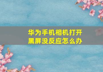 华为手机相机打开黑屏没反应怎么办