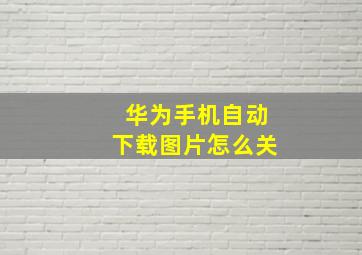 华为手机自动下载图片怎么关